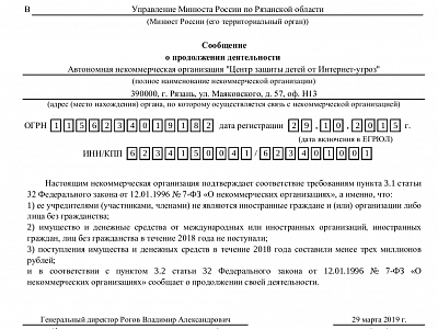 Отчет некоммерческой организации за 2018 год